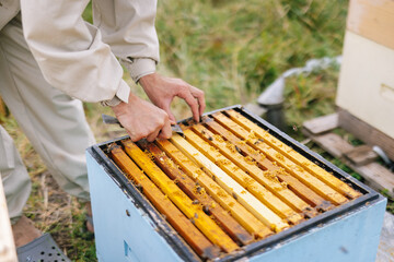 Beekeeper hive tool honeycomb