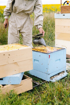 Beekeeper bee smoker calm 
