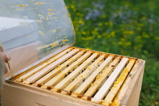 Surface hive apiculture