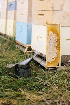 Bee smoker apiary hive honeycomb 