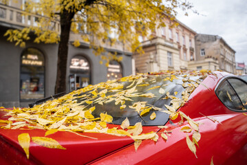 Red the car with fallen yellow leaves. 