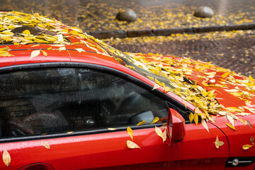 Cropped view of the red car windshield with orange leaves on it