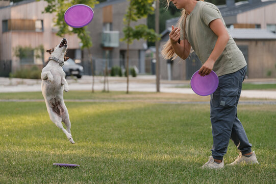 Dog trying to take frisbee from cynologist