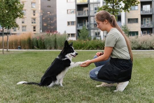 Woman teaching dog to give paw