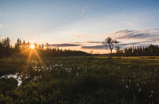 Nature of the North Is Vibrant Even with the Sometimes Hars Conditions