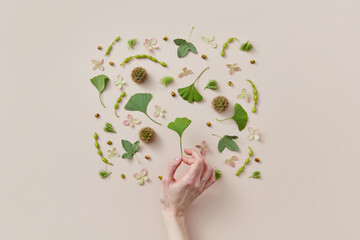 Leaves and flowers arranged by woman's hand.