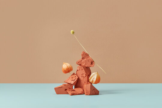 Trendy composition of clay and winter cherry.