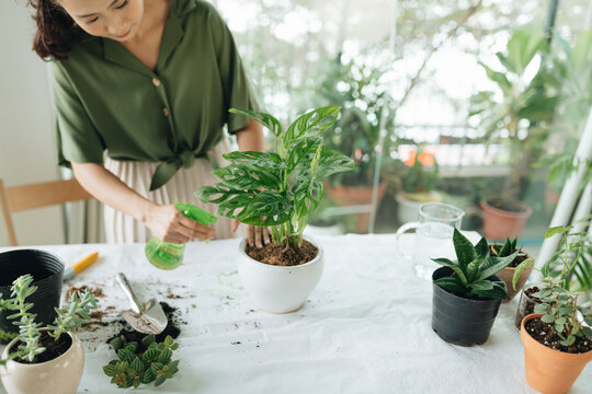 A woman is sprinkling water on the leaves of a green plantw