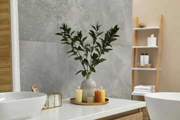 Beautiful plant in vase and burning candles near vessel sink on bathroom vanity