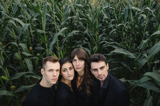 Lost in cornfield