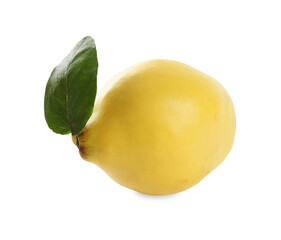 Fresh ripe quince with leaf on white background