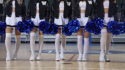 Close up shot of cheerleaders standing in line on basketball court and holding blue pom-poms. . High quality 4k footage - Powered by Adobe