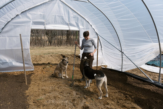 Flower Farmer in greenhouse playing with her dogs