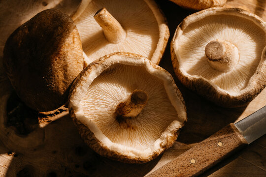 Mushrooms and knife on table