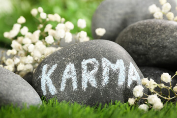 Stone with word Karma and beautiful flowers on green grass, closeup