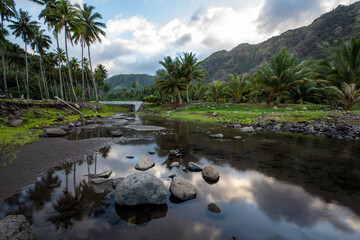 A river surrounded by coconut trees in the Hanapaaoa Valley in Hiva Oa, Marquesas Islands, French Polynesia