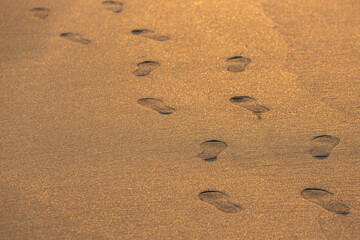 Fototapeta na wymiar the footprints left on the sandy beach where the sun was shining.