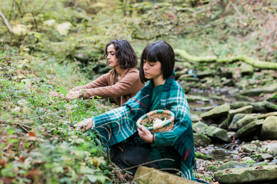 Girls Picking Mushrooms
