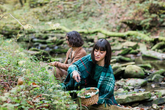 Girls Picking Mushrooms