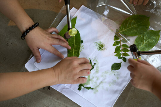 Thumping the plant on top of the fabric