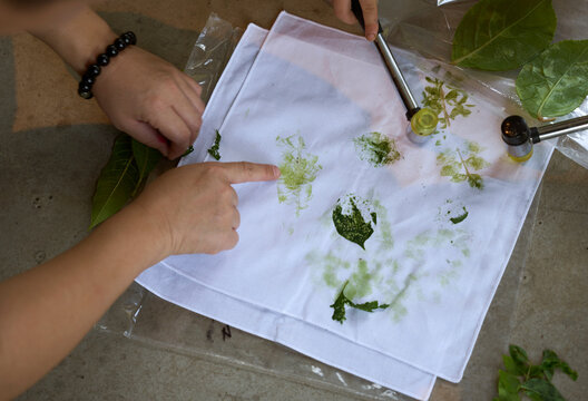 Thumping the plant on top of the fabric