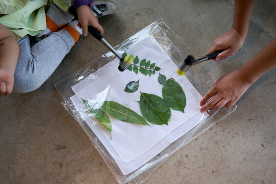 Thumping the plant on top of the fabric