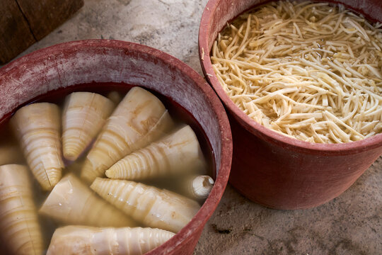 Freshly made Chinese ingredients, sour bamboo shoots