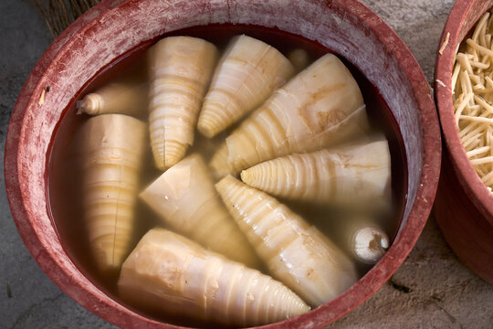 Freshly made Chinese ingredients, sour bamboo shoots