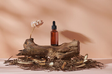Glass bottles with aromatic oil or serum, bark tree with copy space.