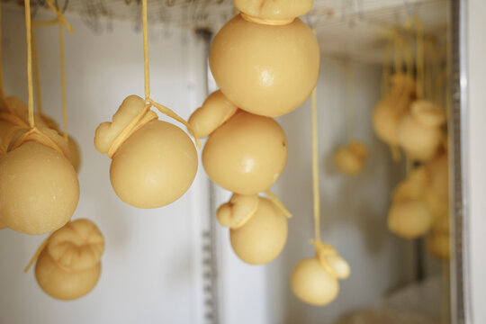 Cheese heads on the shelf in the refrigerator at the cheese fact