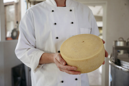 A cheese maker holds cheese in his hands
