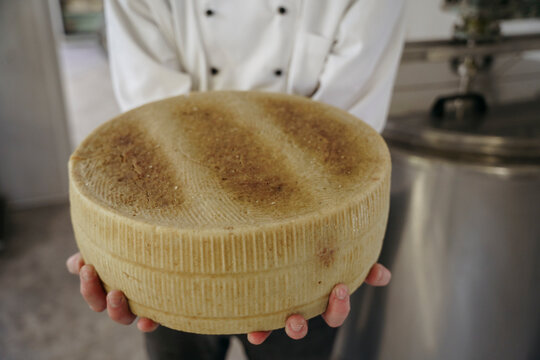 A cheese maker holds cheese in his hands