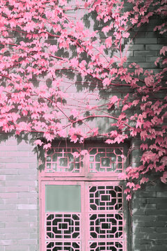 Infrared photography of  traditional Chinese building's window