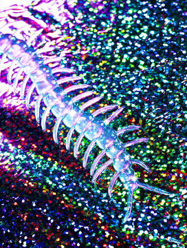 Glow in the dark sparkly centipede