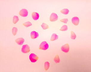 pink hearts background. Heart shape made with pink rose petals.