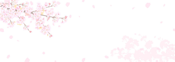 Obraz na płótnie Canvas 白い背景に桜の枝と舞う花びらのイラスト
