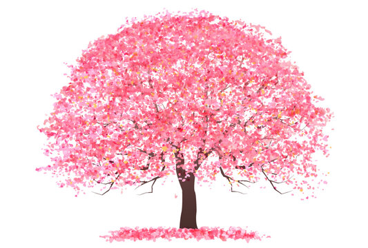 桜の木 Images – Browse 39,115 Stock Photos, Vectors, and 桜の木 Images – Browse 39,115 Stock Photos, Vectors, and