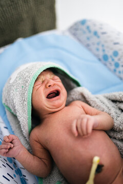 Newborn, newlife