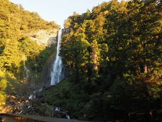 大きな滝の流れる風景