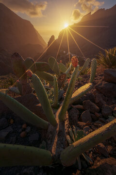 View of the Barrancos de Masca at sunset, Tenerife, Spain.