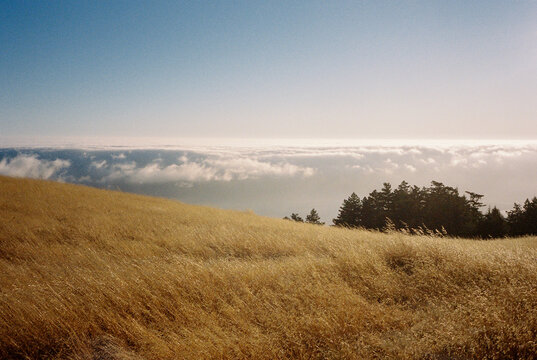 Ocean View Over Golden Hills Above The Clouds