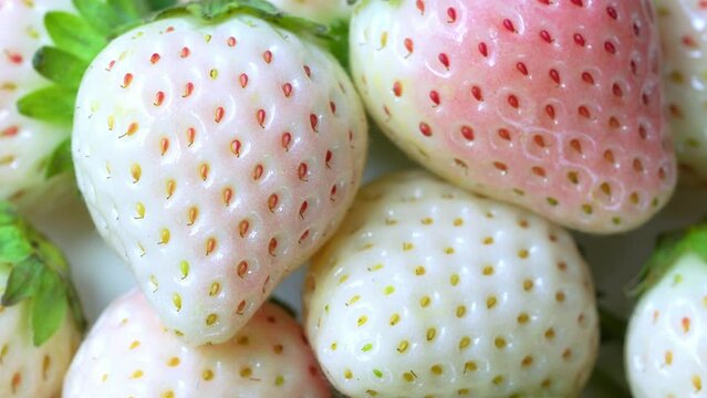 Fresh pink snow strawberry in wooden plate on wooden background, White and Pink snow Strawberries on wooden Background.