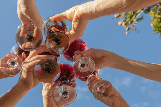 Group of friends toasting wine outdoors