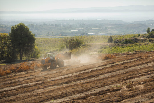 Excavator uprooting trees
