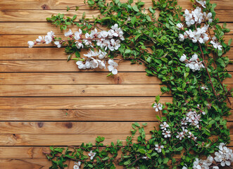 Fototapeta na wymiar The branches of bushes with green leaves and apricot flowers from a tree are beautifully laid out on a wooden brown background. Composition and concept, copy space. Spring flowering plant.