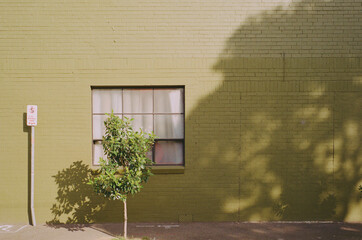 Painted sage green building shot on film