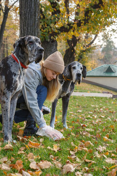 Female owner searching for dog poop in grass