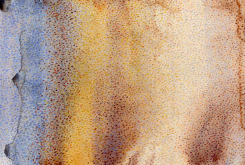 earth or desert colors abstract background