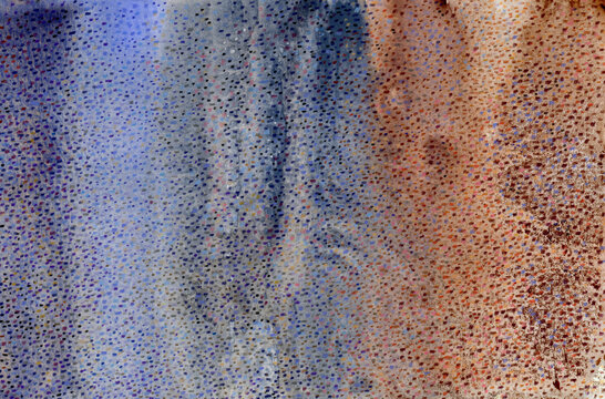 Textured brown and violet abstract background