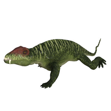 Doliosauriscus Dinosaur isolated 3d illustration